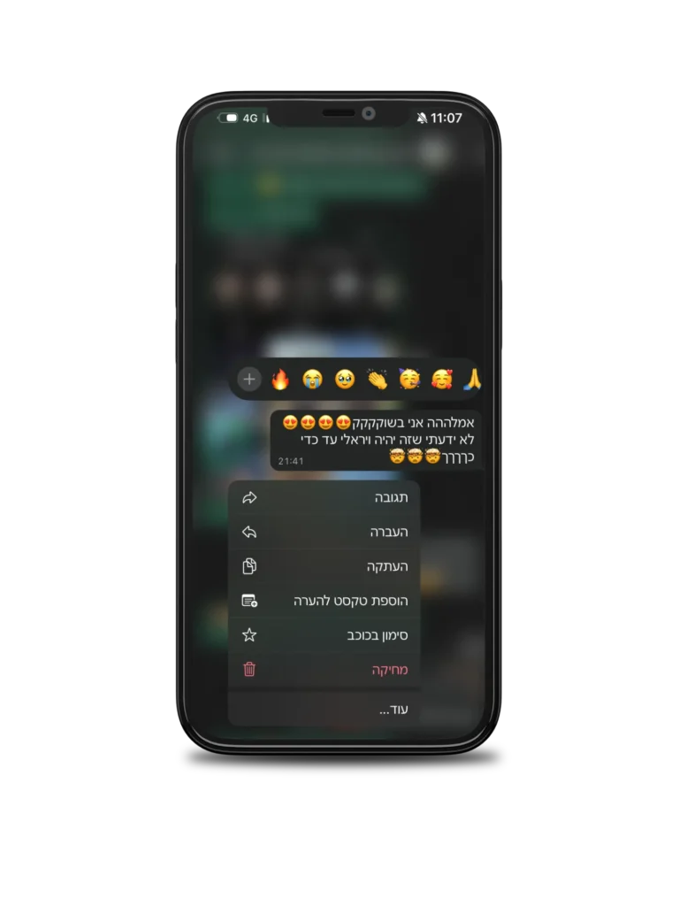 המלצה מלקחה מרוצה